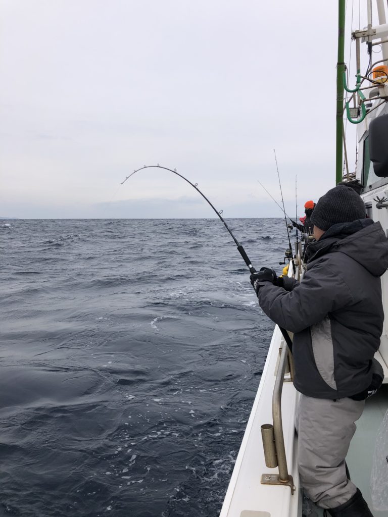 強風の中なんとか釣って貰えました 三重県鳥羽 ジギング 漁盛丸 K Sryousei